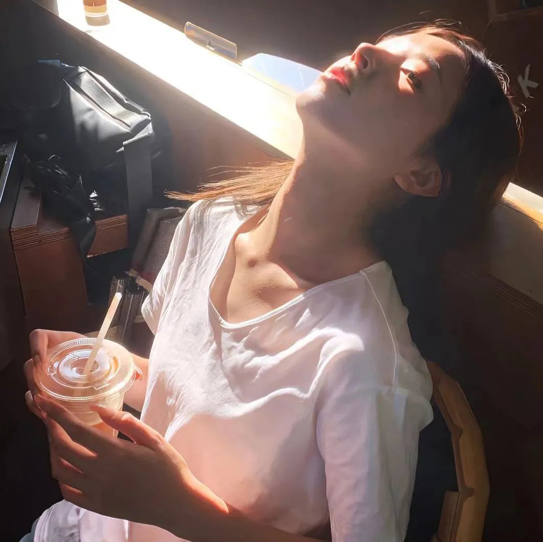 来自收容所的爱