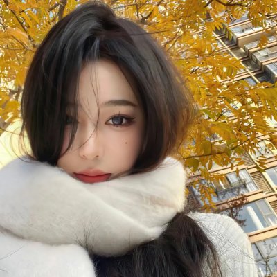 双截龙